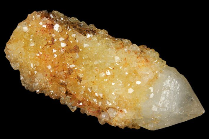Sunshine Cactus Quartz Crystal - South Africa #122298